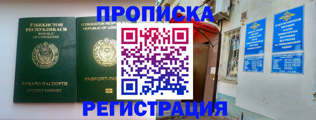 где прописаться в Купино